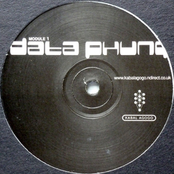 Various Data Phunq Vinyl 12" USED