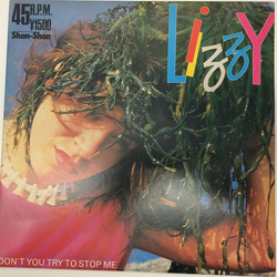 Lizzy Mercier Descloux Don't You Try To Stop Me Vinyl 12" USED