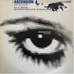 Ascension / Erin Lordan For A Lifetime Vinyl 12" USED