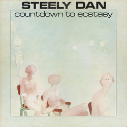 Steely Dan Countdown To Ecstasy Vinyl LP USED