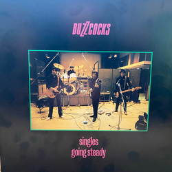 Buzzcocks Singles Going Steady Vinyl LP USED