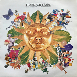 Tears For Fears Tears Roll Down (Greatest Hits 82-92) Vinyl LP USED