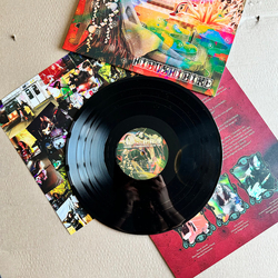 Hibushibire Magical Metamorphosis Third Eye Vinyl LP USED
