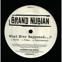 Brand Nubian What Ever Happened...? Vinyl 12" USED