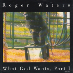 Roger Waters What God Wants, Part I Vinyl 7" USED