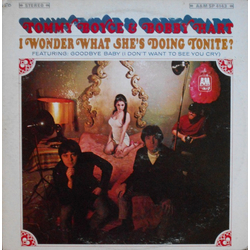Boyce & Hart I Wonder What She's Doing Tonite? Vinyl LP USED
