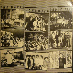 David Johansen Group The David Johansen Group Live Vinyl LP USED