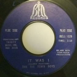 The Big Town Boys It Was I / Paul At The Pass Vinyl 7" USED