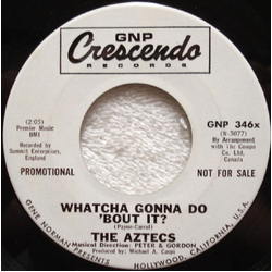 The Aztecs (6) Whatcha Gonna Do 'Bout It? Vinyl 7" USED