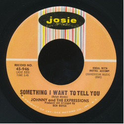 Johnny & The Expressions Something I Want To Tell You / Where Is The Party Vinyl 7" USED