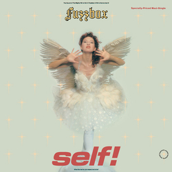 We've Got A Fuzzbox And We're Gonna Use It Self! Vinyl 12" USED