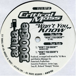 Critical Mass (3) Won't You Know Vinyl 12" USED