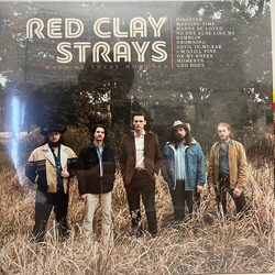 The Red Clay Strays Made By These Moments Vinyl LP USED