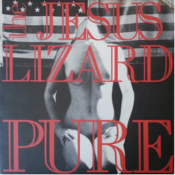 The Jesus Lizard Pure Vinyl 12" USED