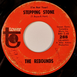 The Rebounds (2) Stepping Stone / Since I Fell For You Vinyl 7" USED