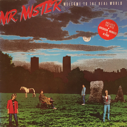 Mr. Mister Welcome To The Real World Vinyl LP USED
