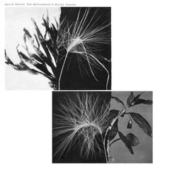 Andrew Pekler New Environments & Rhythm Studies Vinyl LP USED