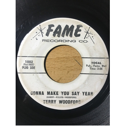 Terry Woodford Gonna Make You Say Yeah / Hit The Ground Vinyl 7" USED