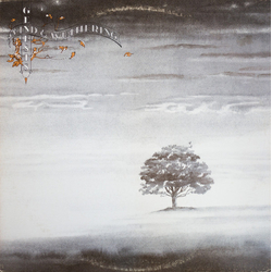 Genesis Wind & Wuthering Vinyl LP USED