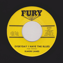 Elmore James Everyday I Have The Blues / Up Jumped Elmore Vinyl 7" USED