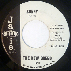 The New Breed (5) Sunny / P.M. Or Later Vinyl 7" USED
