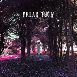 Julian Cope Friar Tuck Vinyl LP USED