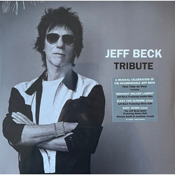 Jeff Beck Tribute Vinyl 12" USED