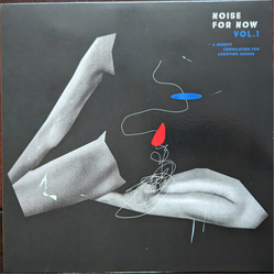 Various Noise For Now Vol. 1 Vinyl LP USED