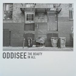 Oddisee The Beauty In All Vinyl LP USED
