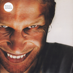 Aphex Twin Richard D. James Album Vinyl LP USED