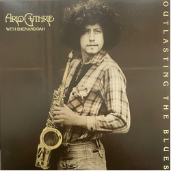 Arlo Guthrie / Shenandoah (2) Outlasting The Blues Vinyl LP USED