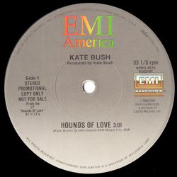 Kate Bush Hounds Of Love Vinyl 12" USED