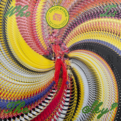 David Byrne / Ghost Train Orchestra Who Is The Sky? Vinyl LP USED