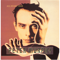 Peter Murphy All Night Long Vinyl 12" USED