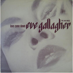 Eve Gallagher Love Come Down (The 1991 Mixes) Vinyl 12" USED