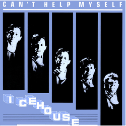 Icehouse Can't Help Myself Vinyl 12" USED
