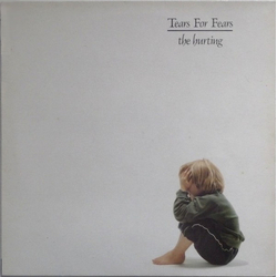 Tears For Fears The Hurting Vinyl LP USED