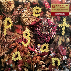 PWR BTTM Pageant Vinyl LP USED