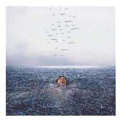 Shawn Mendes Wonder Vinyl LP USED