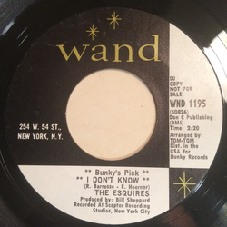 The Esquires I Don't Know / Part Angel Vinyl 7" USED