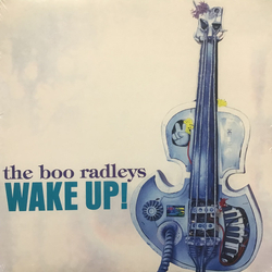 The Boo Radleys Wake Up! Vinyl LP USED