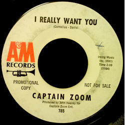 Captain Zoom (2) I Really Want You Vinyl 7" USED