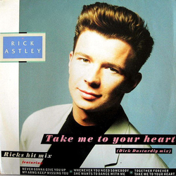 Rick Astley Take Me To Your Heart (The Dick Dastardly Mix) Vinyl 12" USED