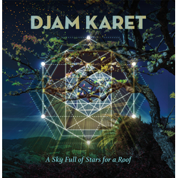 Djam Karet A Sky Full Of Stars For A Roof Vinyl LP USED