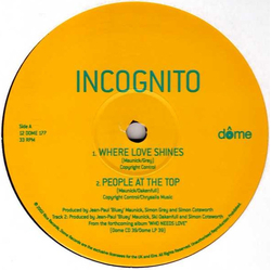 Incognito Album Sampler Vinyl 12" USED