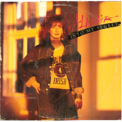 Alisha Into My Secret (Remix) Vinyl 12" USED