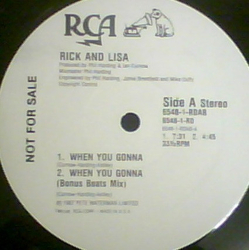 Rick Astley / Lisa Fabien When You Gonna Vinyl 12" USED