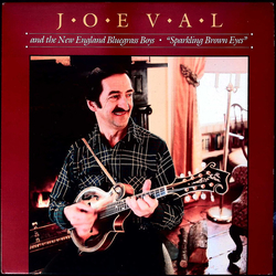 Joe Val And The New England Bluegrass Boys Sparkling Brown Eyes Vinyl LP USED