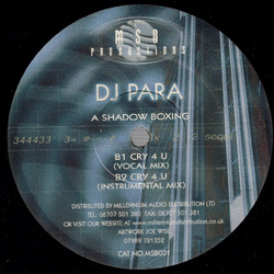 DJ Para Shadow Boxing Vinyl 12" USED