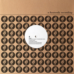 audiobooks Friends In The Bubble Bath Remixes Vinyl 12" USED